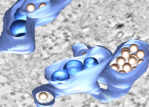 Teaser_ZIKA_Virus_Jarasch.jpg
