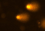 import_03975_de.jpg