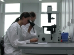 Synovos Team arbeitet auf 500 qm in einem neuen Gebäude der Technologiepark Tübingen-Reutlingen GmbH.