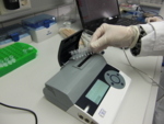 Abbildung zeigt einen Prototyp des MRSA-Analysesystems. Eine Mitarbeiterin hält acht Tubes in der Hand, die auf die Erreger parallel getestet werden können.