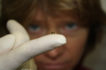 Piece of gel on a finger.