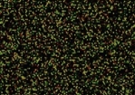 19110_de.jpg