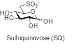 6-Desoxy-6-sulfoglucose in der Haworth-Formel dargestellt.