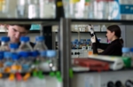Nicht nur Biologen, auch Physiker, Chemiker, Ingenieure, Informatiker und Mediziner sind im Forschungsverbund SystemsX.ch eingebunden.