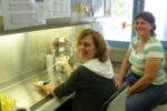 Dr. Tanja Waldmann (rechts) entwickelt mit ihrer Doktorandin Nina Balmer Zellkultursysteme mit humanen embryonalen Stammzellen. Das Foto zeigt die beiden bei ihrer Arbeit im Labor.