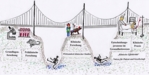 Translationale Krebsforschung überbrückt das Tal des Todes - Das Bild zeigt eine Brücke, welche die zwei Täler des Todes der medizinischen Forschung überbrückt - eines zwischen präklinischer und klinischer Forschung und ein weiteres zwischen der Wirksamkeit klinischer Studien und dem Nachweis eines tatsächlichen Nutzens für Patient und Gesellschaft.