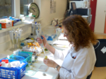 Zu sehen ist eine labormitarbeiterin, die die proben mit einer Pipette in das probengefäß einfüllt.