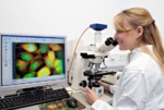 Technician in front of a microscope, looking at the results on a computer screen.<br />