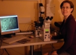 Zu sehen ist eine junge Frau, an einem Schreibtisch sitzend und in die Kamera gedreht, vor einem Mikroskop.