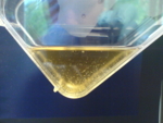 The photo shows the bottom of a transparent glass bottle containing a liquid with fine floating particles.<br />