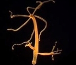 16200_de.jpg