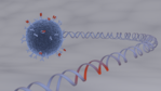 Symbolic 3D model with a T cell equipped with CAR and the relevant DNA.