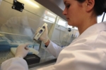 Zu sehen ist eine Laborantin von VIVIT, das Institut untersucht Blut auf aus Tumorzellen stammende Marker