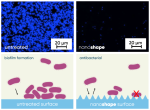 Four images showing that bacteria adhere much less readily to the nanoshape surface: in the top row, two blue-stained microscopic images – on the left, an untreated surface with a large number of colonies; on the right, nanoshape with far fewer colonies. Below are two images showing a schematic representation of the principle: bacteria on a smooth surface and on an implant with serrations.