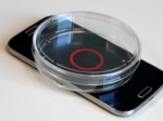 Cell culture dish on a mobile phone screen.