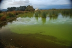 Der Lake Horowhenua in Neuseeland ist einer der Seen, an dem Forschungen zur Blaualgenbelastung durchgeführt werden.