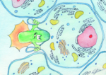 Zu sehen ist in einer Comiczeichnung, wie ein Bakterium versucht, in eine Zelle einzudringen.