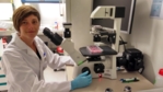 Die Biologin vor dem Mikroskop mit Zellkulturen in rosafarbenem Kulturmedium.