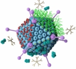 Grafik eines veränderten Virus.