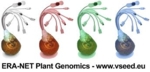 Logo des ERANet-vSEED-Projekts: Zu sehen sind vier Pflanzensamen in unterschiedlichen Farben nebeneinander, aus denen Computerkabel herauswachsen.