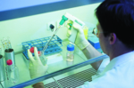 In the laboratory of BioTeSys