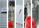 Bild-Collage mit Laborgeräten von Trenzyme.
