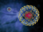 Influenza-Virus