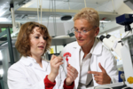 Dr. Johanna Schanz (li.) und Prof. Heike Mertsching
