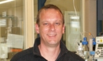 17317_de.jpg