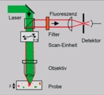 Schematic of how a microscope functions.