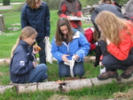 Einige Schülerinnen stehen um einen alten Holzstamm herum und untersuchen das Leben unter der Rinde.