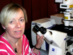 Porträt der Mikroskopie-Gruppenleiterin am Ulmer ILM, Dr. Angelika Rück.