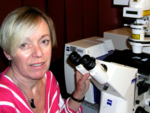 Photo of Dr. Anglika Rück, head of the mircoscopy team at Ulm-based ILM.<br />