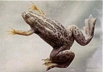 09315_de.jpg