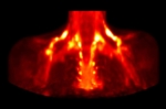 15903_de.jpg