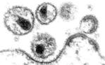 22544_de.jpg