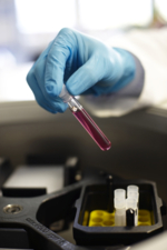 Im Labor: Eine Hand hält ein mit rosa Flüssigkeit gefülltes Reagenzglas.