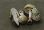 16863_de.jpg