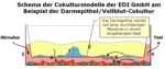 20950_de.jpg