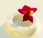Flower in an ashtray
