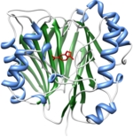 The photo shows a 3D diagram of a chorismatase enzyme.
