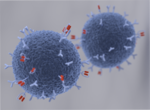 Car-T-Zell-Technologie_Immunzelle.png