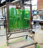 The photo shows a plate reactor filled with green liquid (algae) in a laboratory.