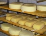 Hartkäsesorten Lehrmolkerei Wangen