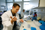 Im Heidelberger Zentrum für Molekulare Biologie werden während des Studiums unter anderem Praktika absolviert. Auf dem Bild ist ein Laborant an seinem Arbeitsplatz zu sehen.