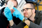 The photo shows Dr. Böttcher and one of his colleagues assessing bacterial culture plates.<br />