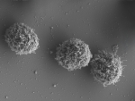 FB_Teaser_CellAlarm-InnoZell_.jpg