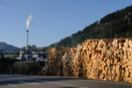 The photo shows tree trunks piled up along the road. The wood processing plant in the city of Buchenbach can be seen in the background.