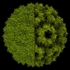Visualisierung_Virus