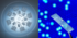 Hahn-Schickard-LabDisk-DropChip.png